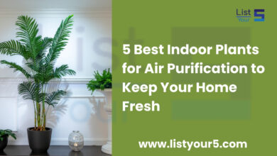 Best Indoor Plants