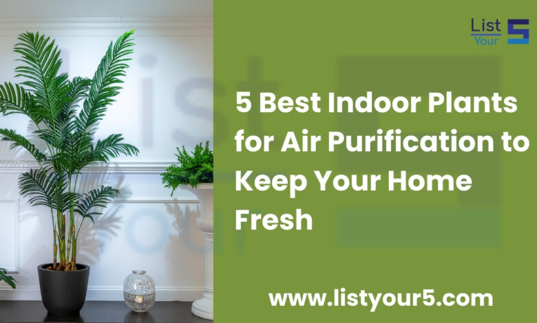 Best Indoor Plants